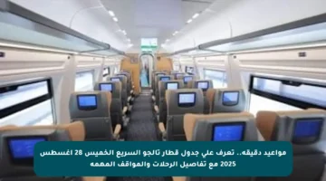 مواعيد دقيقة.. تعرف على جدول قطار تالجو السريع الخميس 28 أغسطس 2025 مع تفاصيل الرحلات والمواقف المهمة